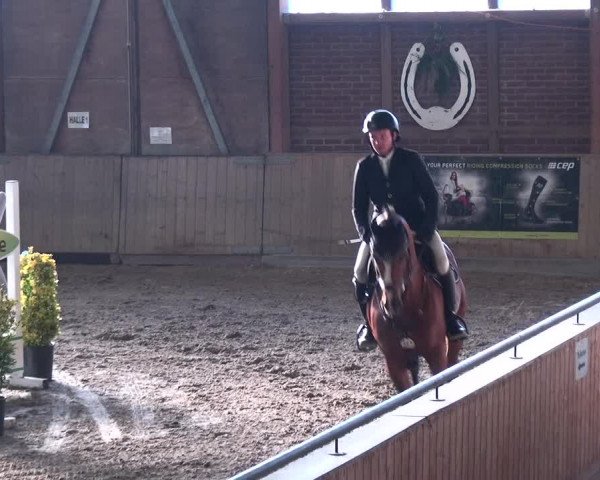 Reitturnier Köln-Leverkusen 2017