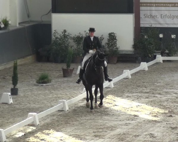 Reitturnier Mönchengladbach-Abtshof 2017