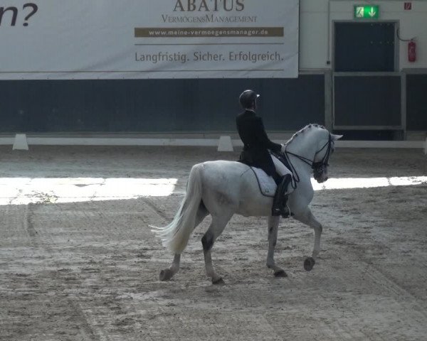 Reitturnier Mönchengladbach-Abtshof 2017