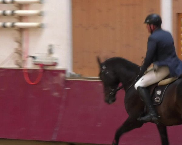 Reitturnier Eicherloh RH Laurent 2017