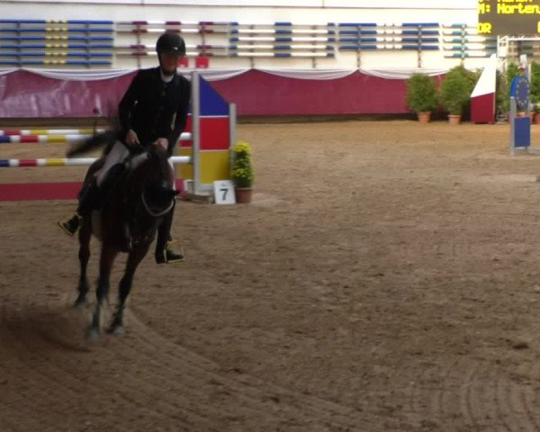 Reitturnier Eicherloh RH Laurent 2017