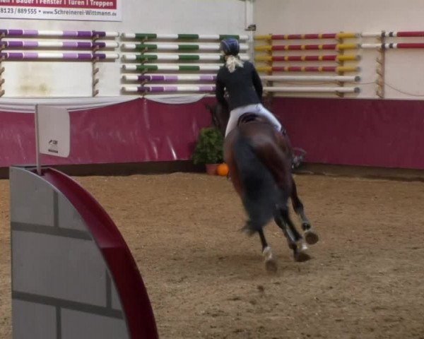 Reitturnier Eicherloh RH Laurent 2017