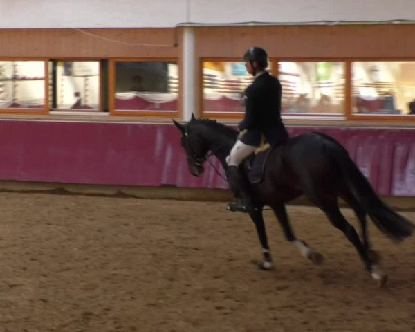 Reitturnier Eicherloh RH Laurent 2017
