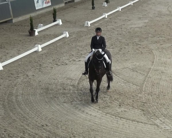 Reitturnier Mönchengladbach-Abtshof 2017