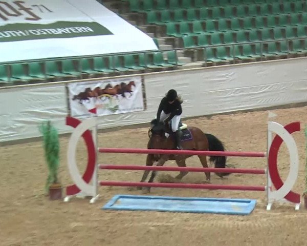 Reitturnier Kreuth 2017