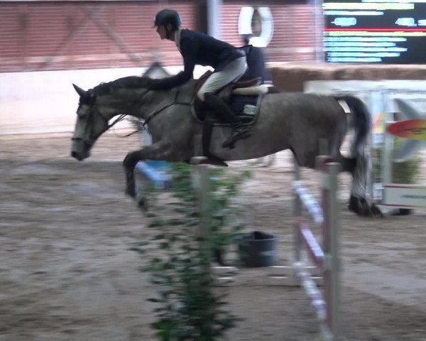 Reitturnier Köln-Leverkusen 2017