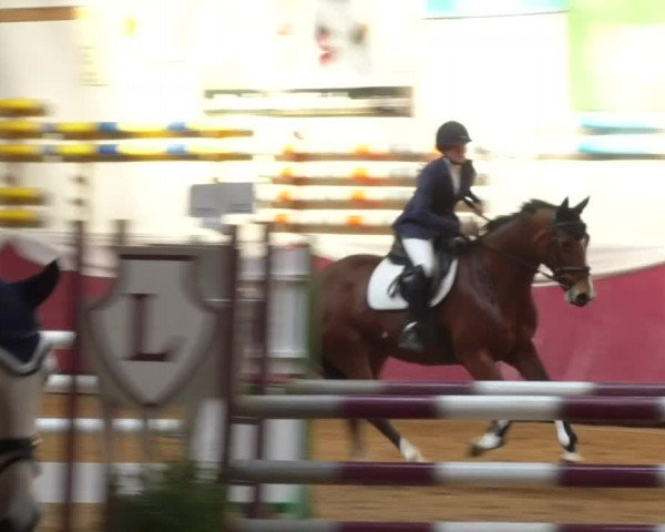 Reitturnier Eicherloh RH Laurent 2017