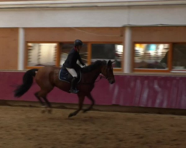 Reitturnier Eicherloh RH Laurent 2017