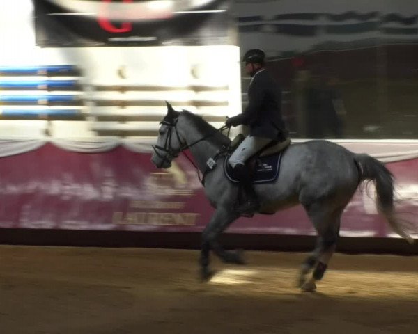 Reitturnier Eicherloh RH Laurent 2017