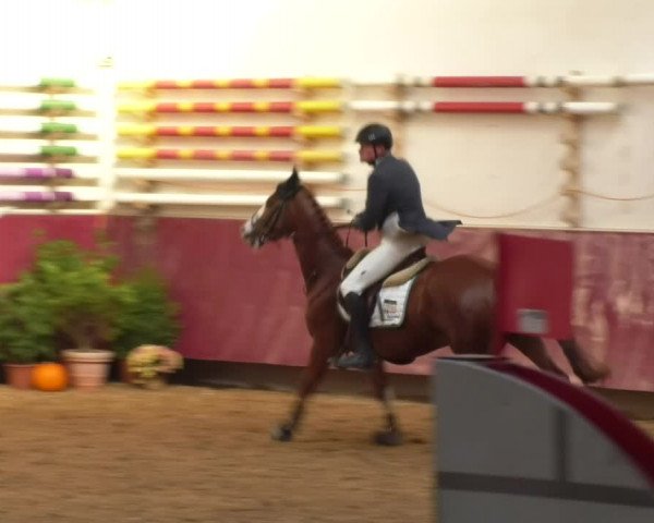 Reitturnier Eicherloh RH Laurent 2017