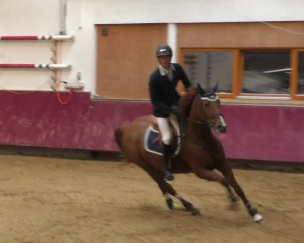 Reitturnier Eicherloh RH Laurent 2017