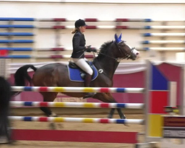 Reitturnier Eicherloh RH Laurent 2017