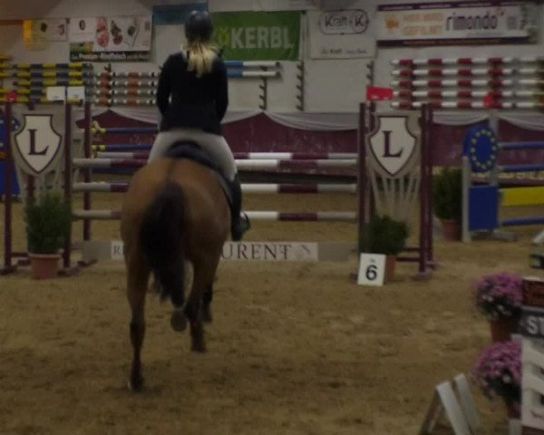 Reitturnier Eicherloh RH Laurent 2017