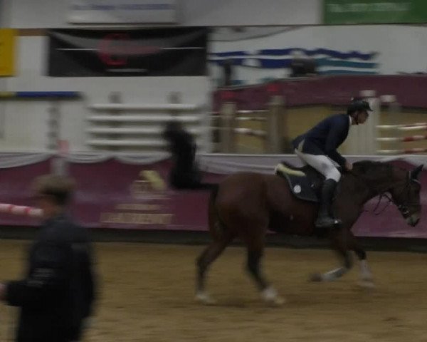 Reitturnier Eicherloh RH Laurent 2017