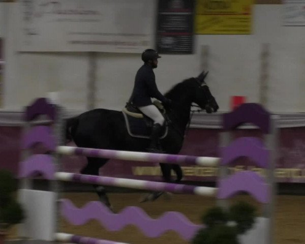 Reitturnier Eicherloh RH Laurent 2017