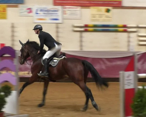 Reitturnier Eicherloh RH Laurent 2017