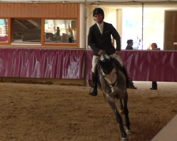 Reitturnier Eicherloh RH Laurent 2017