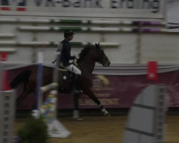 Reitturnier Eicherloh RH Laurent 2017