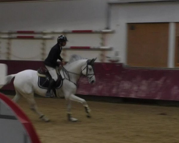 Reitturnier Eicherloh RH Laurent 2017