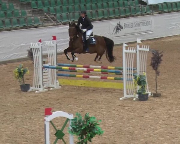Reitturnier Kreuth 2017