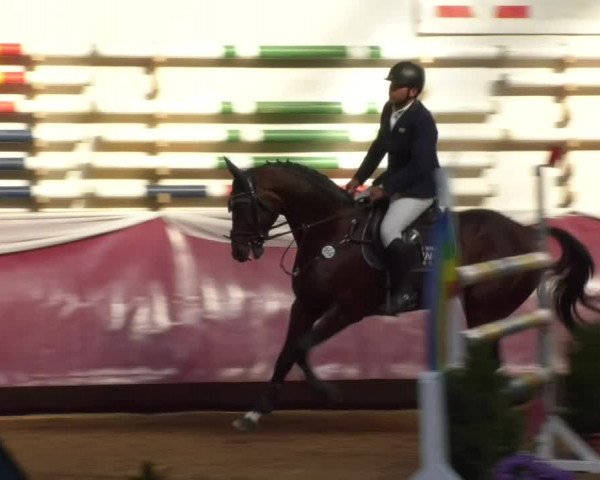 Reitturnier Eicherloh RH Laurent 2017