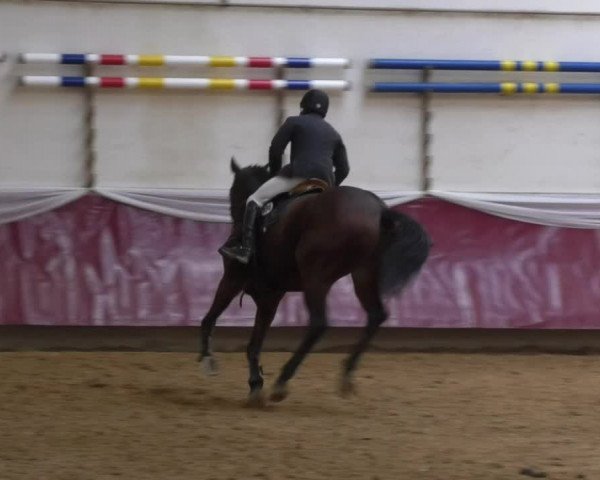 Reitturnier Eicherloh RH Laurent 2017