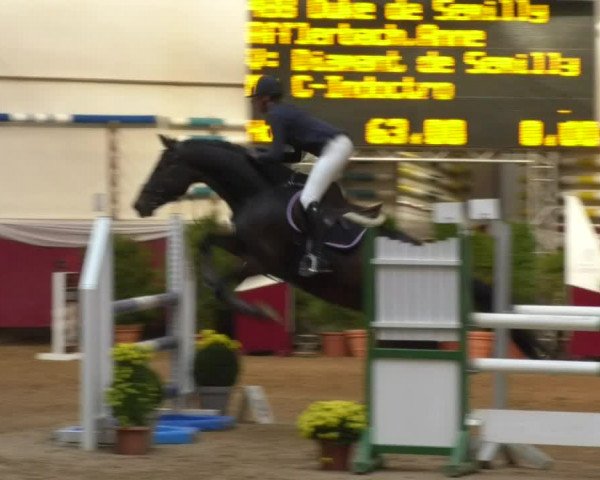 Reitturnier Eicherloh RH Laurent 2017