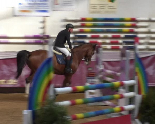 Reitturnier Eicherloh RH Laurent 2017