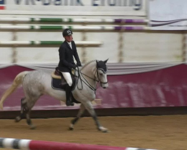 Reitturnier Eicherloh RH Laurent 2017