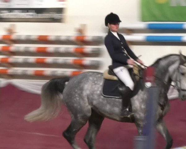 Reitturnier Eicherloh RH Laurent 2017