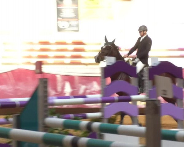 Reitturnier Eicherloh RH Laurent 2017