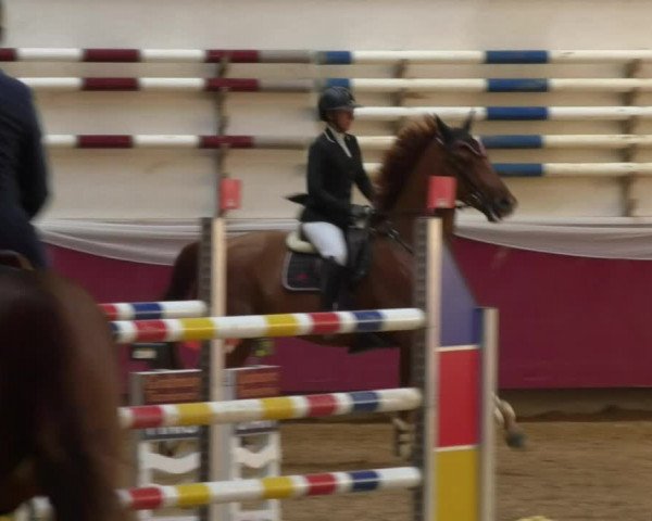 Reitturnier Eicherloh RH Laurent 2017