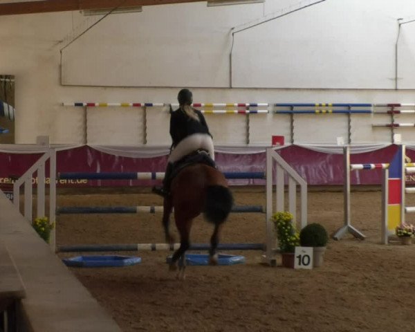 Reitturnier Eicherloh RH Laurent 2017