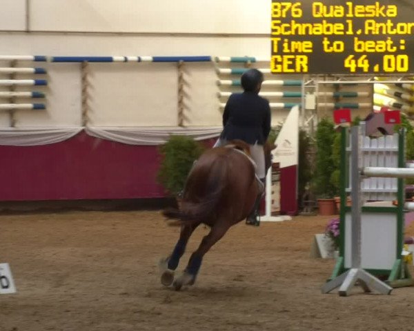 Reitturnier Eicherloh RH Laurent 2017