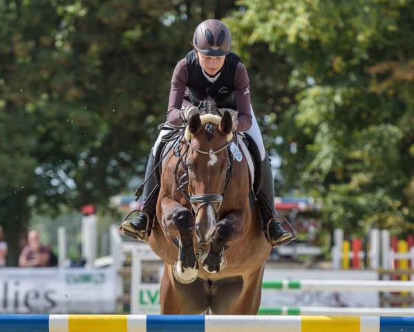 jumper Lulu 114 (KWPN (Royal Dutch Sporthorse), 2004, from Lupicor)