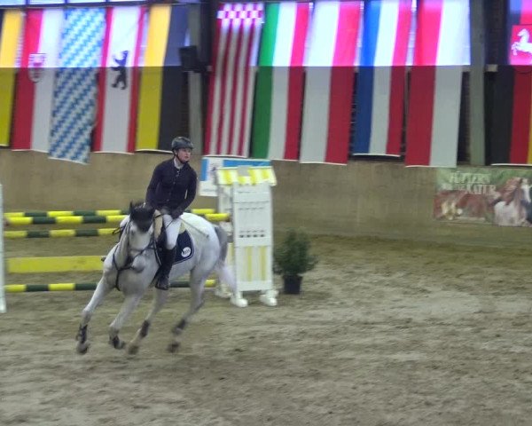 Reitturnier Köln-Leverkusen 2017