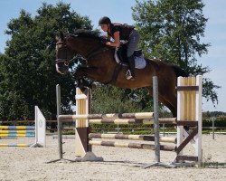 dressage horse Balisco M (KWPN (Royal Dutch Sporthorse), 2006, from Osmium)