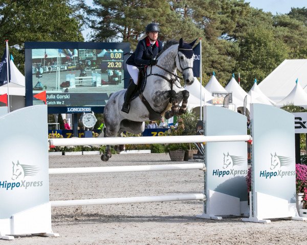 jumper Catch Me Z (Zangersheide riding horse, 2011, from Chippendale Z)