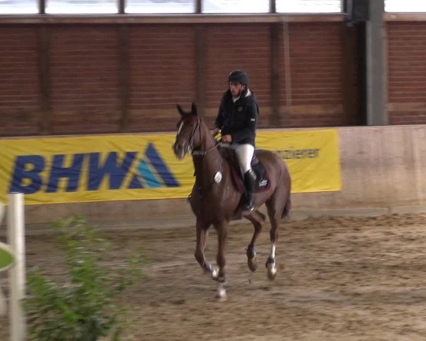 Reitturnier Köln-Leverkusen 2017