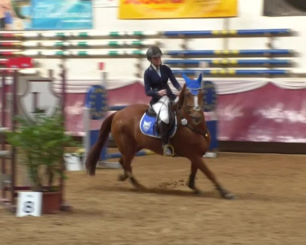 Reitturnier Eicherloh RH Laurent 2017