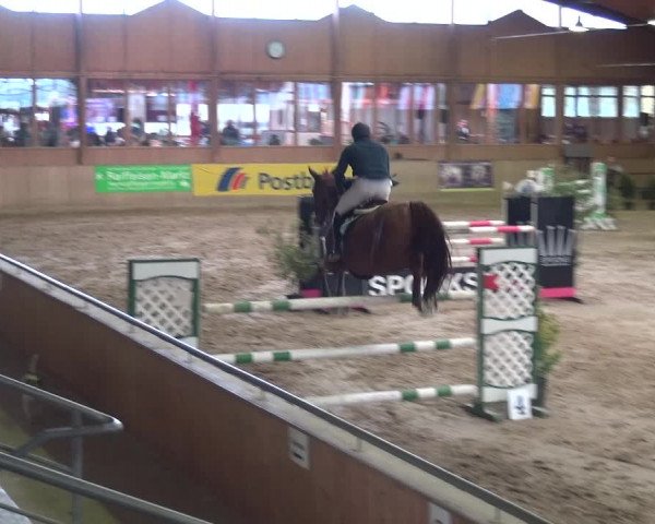Reitturnier Köln-Leverkusen 2017