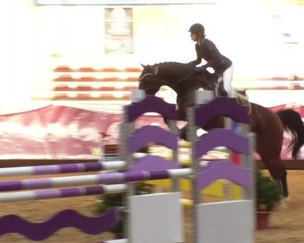 Reitturnier Eicherloh RH Laurent 2017