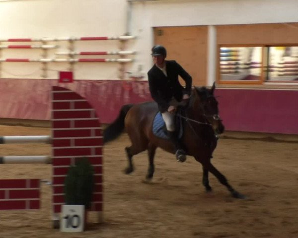 Reitturnier Eicherloh RH Laurent 2017