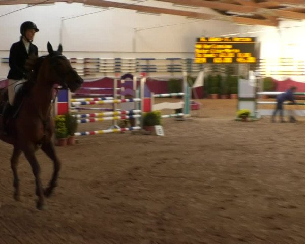 Reitturnier Eicherloh RH Laurent 2017