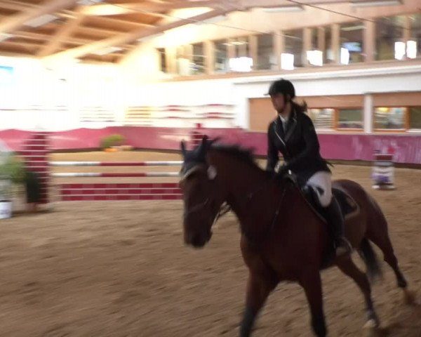 Reitturnier Eicherloh RH Laurent 2017