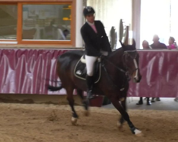 Reitturnier Eicherloh RH Laurent 2017