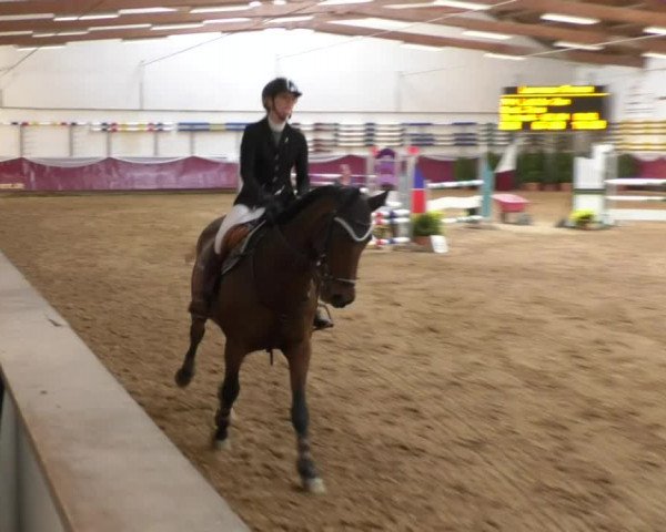 Reitturnier Eicherloh RH Laurent 2017
