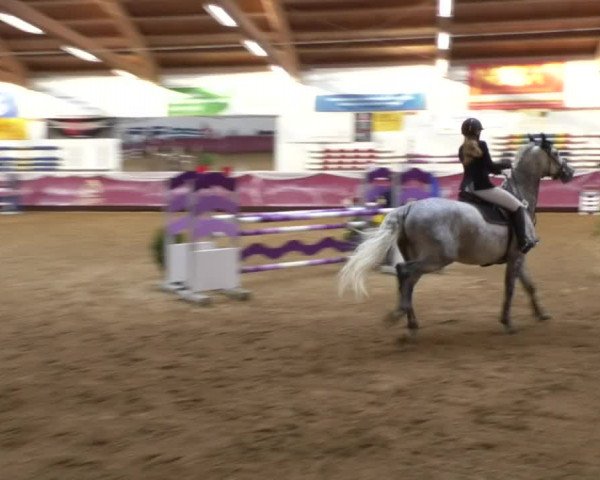 Reitturnier Eicherloh RH Laurent 2017