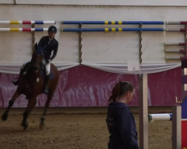 Reitturnier Eicherloh RH Laurent 2017