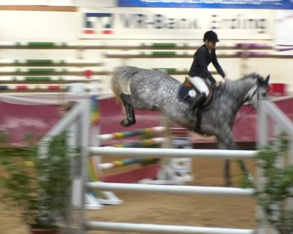 Reitturnier Eicherloh RH Laurent 2017
